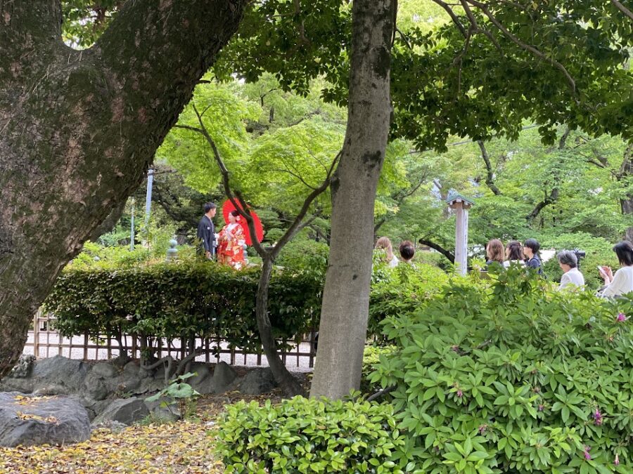 和装前撮り　中村公園ロケ　豊国神社　御祈祷　庭園ロケ